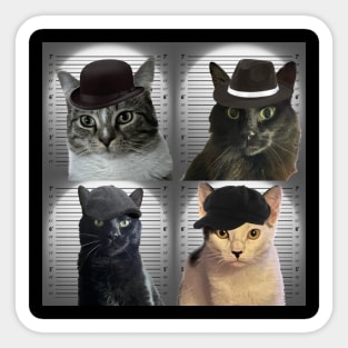 Cat in the Wall Gang Sticker